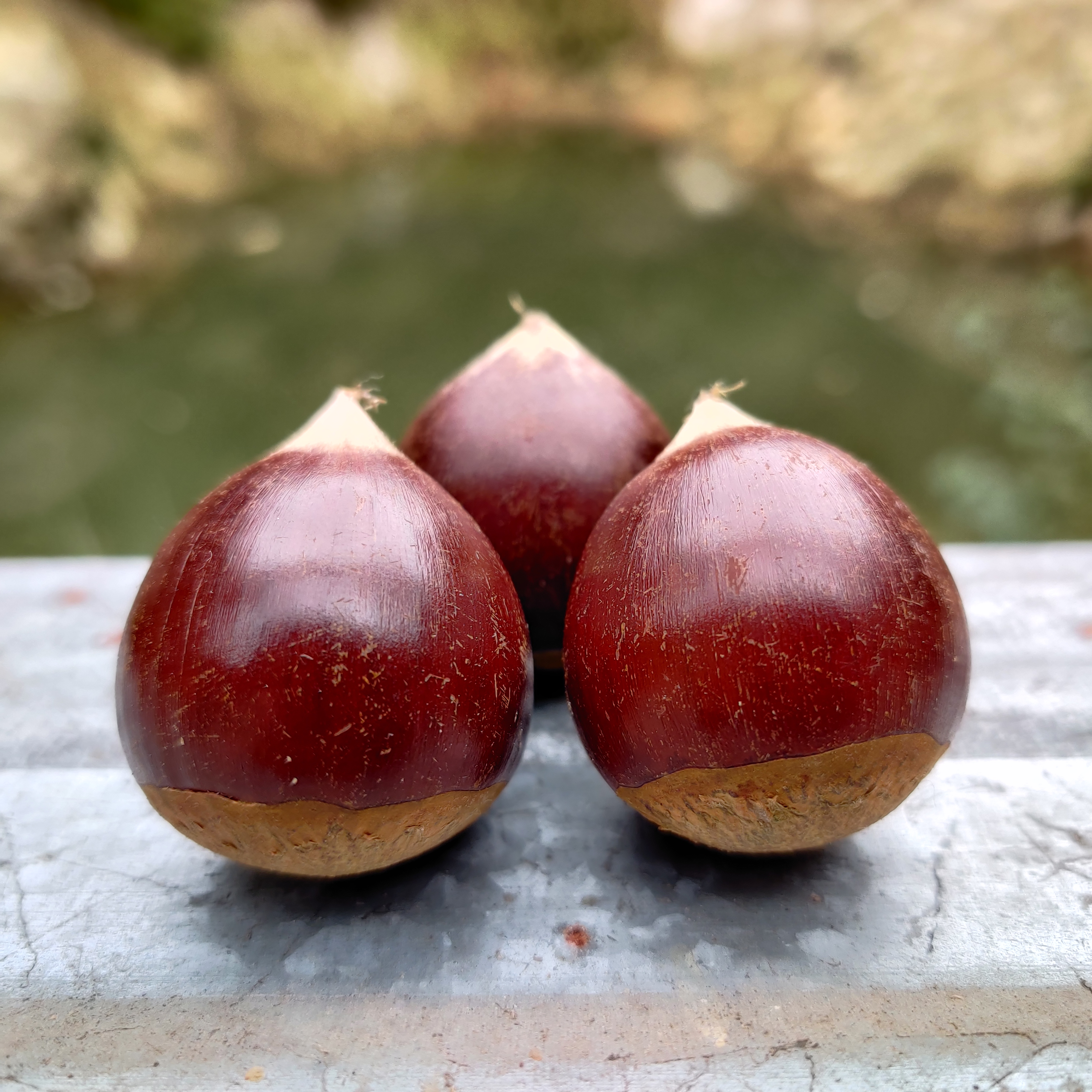 千榮閩北萬畝農(nóng)產(chǎn)
