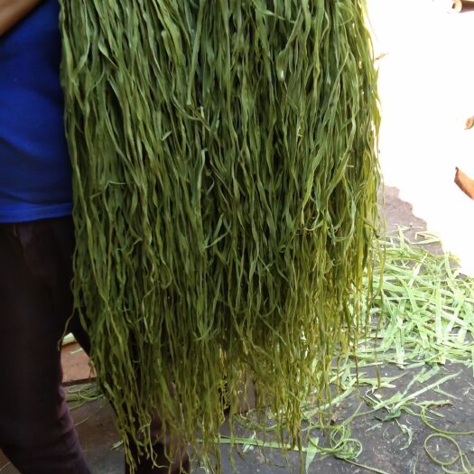巍山县一手货源贡菜
