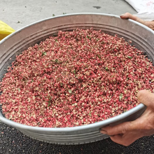 茂县大红袍花椒