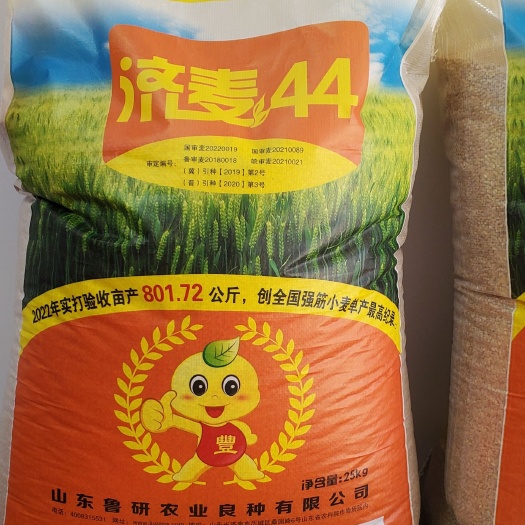 济南济麦44，济麦22，鲁研系列，3.0版本，