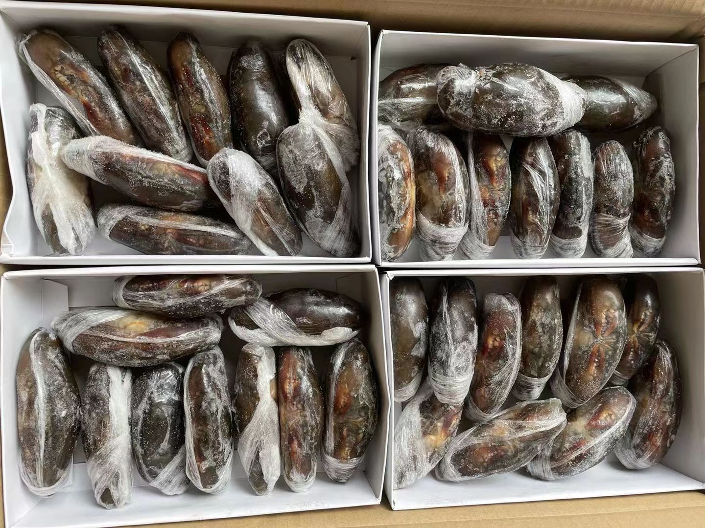 广州广州发货缅甸软壳蟹 带壳食用鲜活生冻软壳蟹800g盒