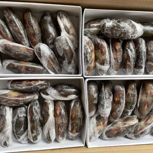 广州广州发货缅甸软壳蟹 带壳食用鲜活生冻软壳蟹800g盒