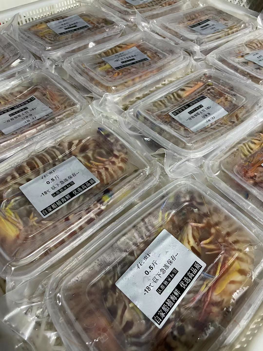 大花虾