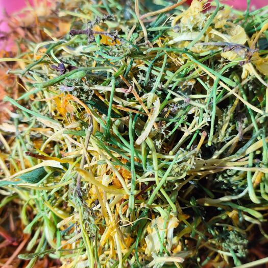 五彩花供应，量大优惠，产地直供，各个等级