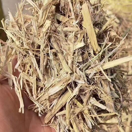 天津稻草，粉碎过筛除尘，养殖稻草