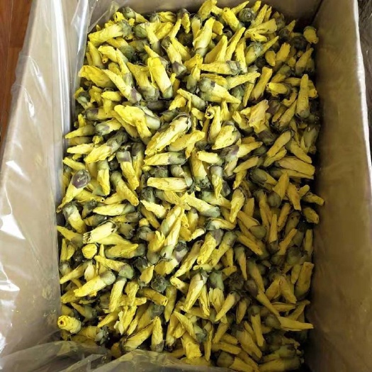 黄秋葵花 黄蜀秋葵花 金花葵茶 大量供应 一件代发