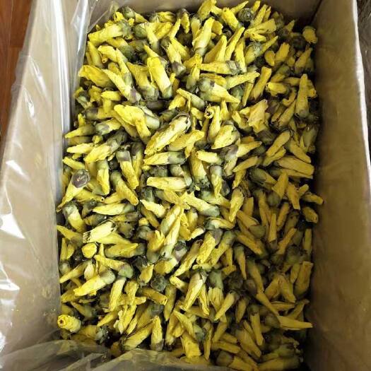 亳州黄秋葵花 黄蜀秋葵花 金花葵茶 大量供应 一件代发