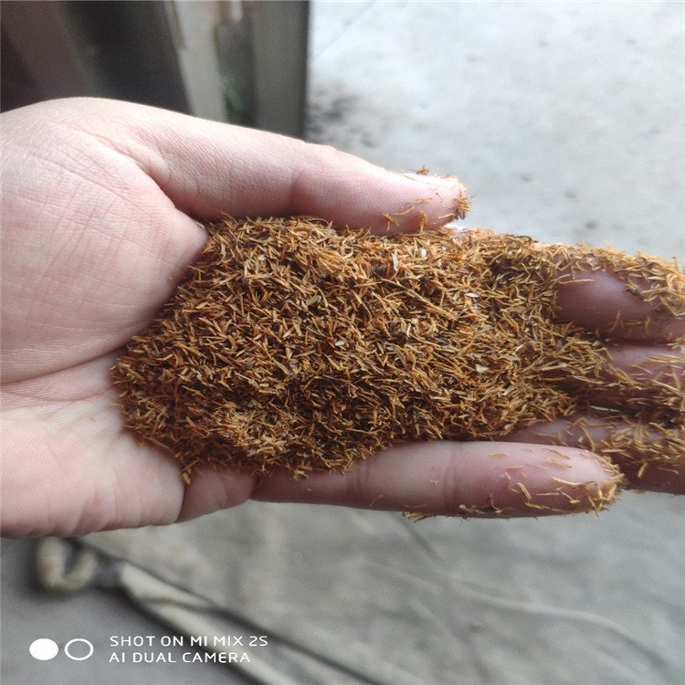 珍珠梅种子辽宁省开原市货源