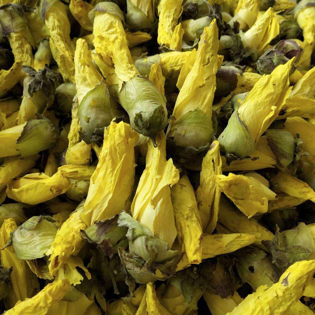 黄秋葵花 黄蜀秋葵花 金花葵茶 大量供应 一件代发