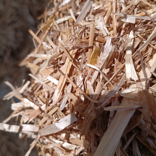 正阳县马牛草料。小麦秸秆。纯属一级货。价格会比别个低。需要的联系。