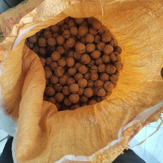 古县自家的核桃  干核桃   薄皮核桃