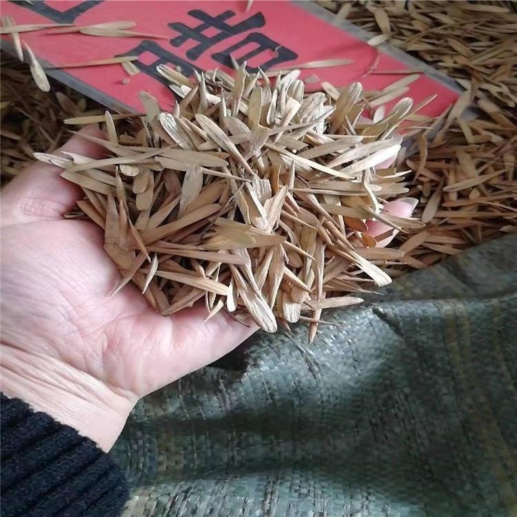 开原市白蜡种子，白腊种子，辽宁开原市森源苗木种子