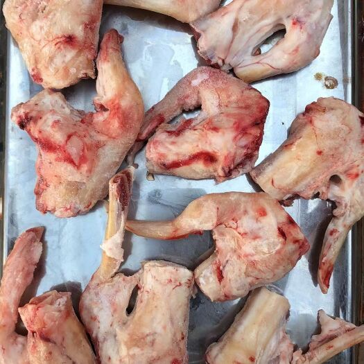 河间市绵羊拐筋