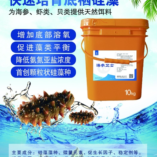 运城海参卫士，培育底栖硅藻，海参吃得饱长得快