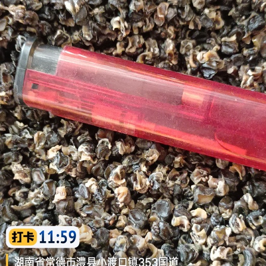 澧县精品螺肉:您的满意，我的追求