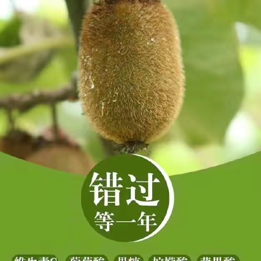 【贵长沁猕】零售、批发