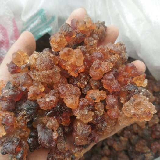 洞口县优质桃胶