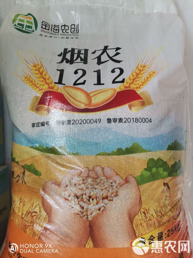 小麦种子  烟农1212，矮秆大穗，抗病抗倒，五抗一高。