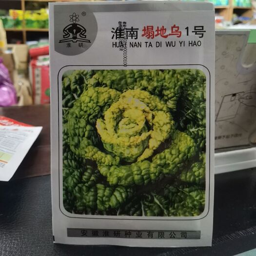 西安黄心乌菜种子淮南塌地乌1号黄心乌耐寒抗病高产秋季播蔬菜种子