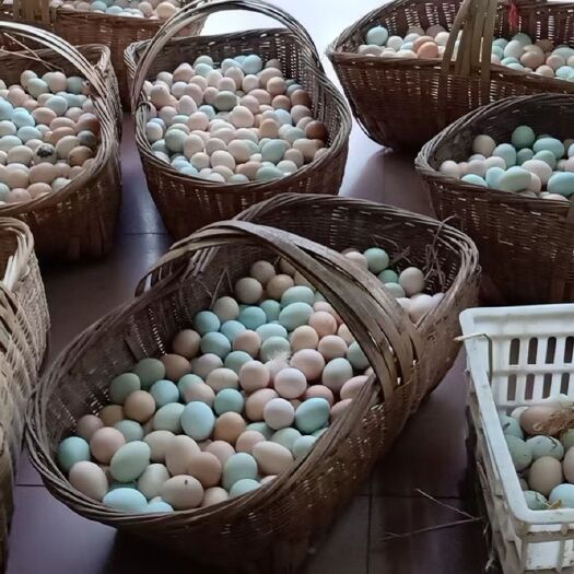 京山市散养土鸡蛋，常年有货