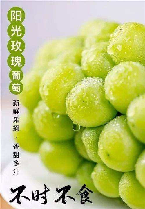 砀山县安徽砀山 万亩阳光玫瑰葡萄大量上市，产地直供  全国代发