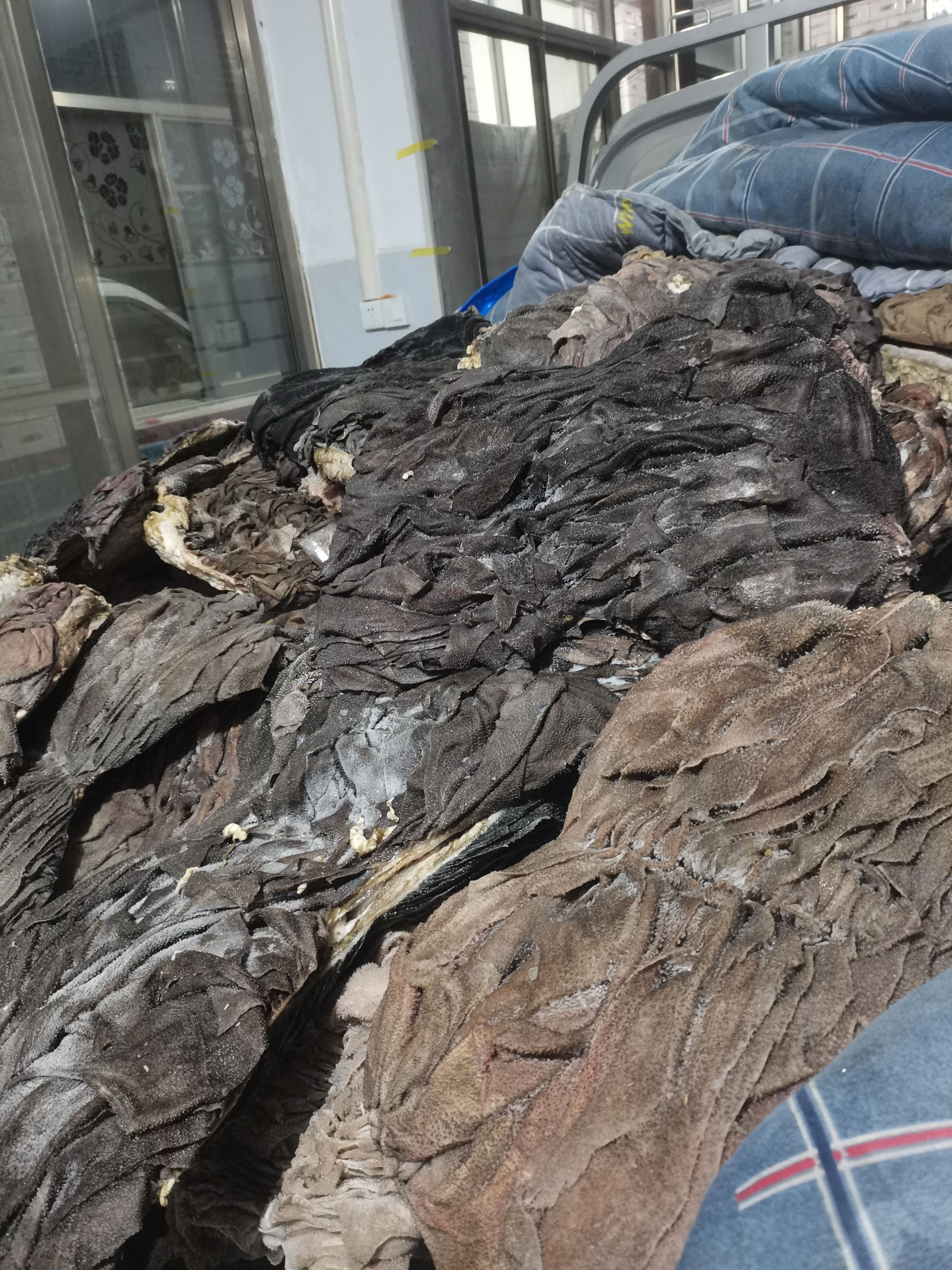 牛百叶，牛毛肚，干净去油，手续齐全，实图拍摄，质量好，纯干