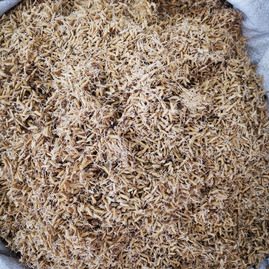 稻芽 批发稻芽生稻芽炒稻芽 一手货源规格齐全可供批发零售