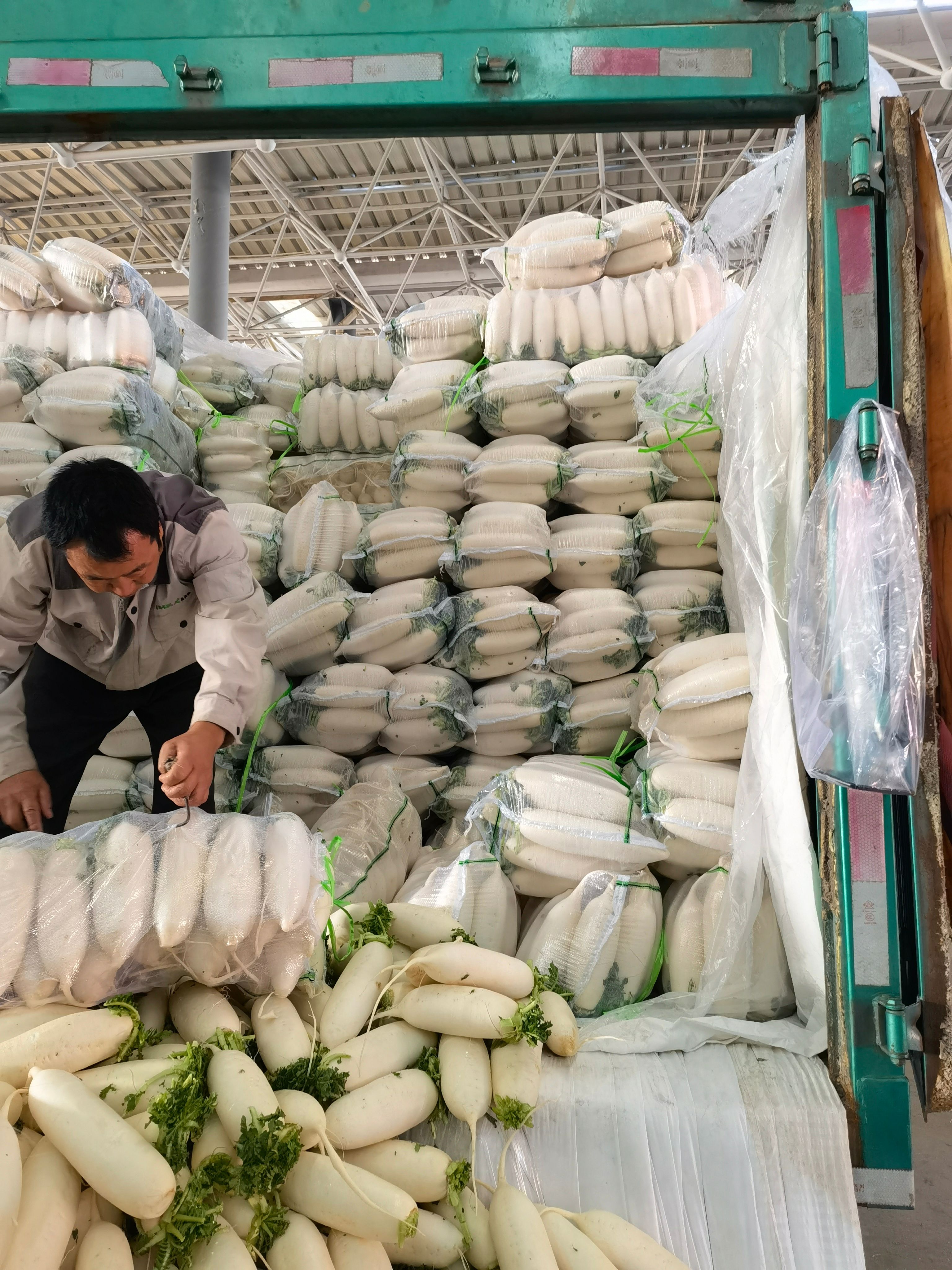 邯郸精品白萝卜 每天大量有货保证质量适合各大市场超市电商和加工厂