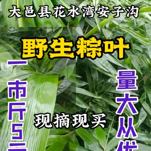 大邑县野生粽叶，包粽子所用，有种非常特别的清香味
