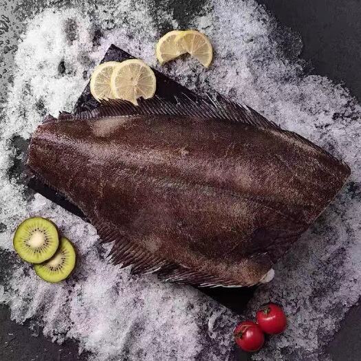 郑州深海鲽鱼身整条去头去尾大比目鱼海鲜冷冻鲽鱼段辅食批发包邮