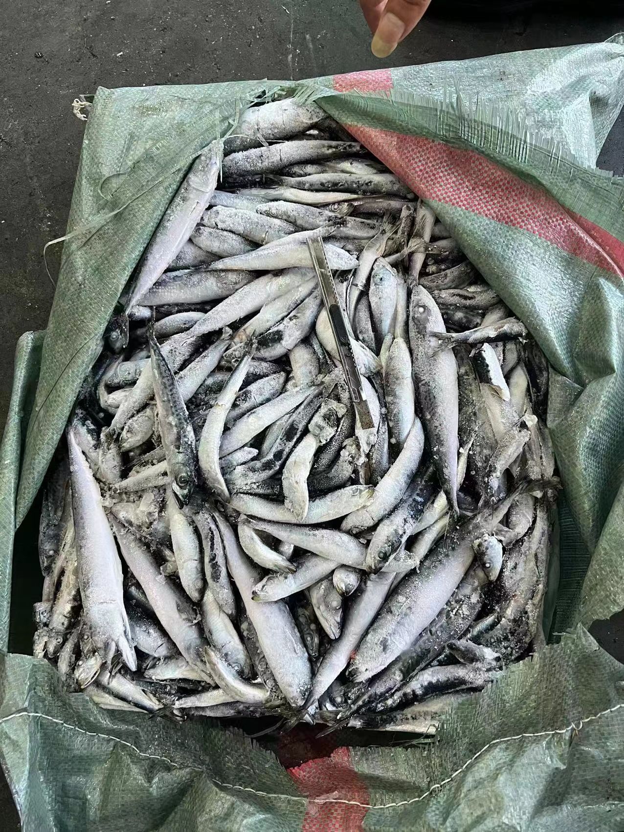 福州干板沙丁，36斤，鱼好水少。螃蟹龙虾养殖