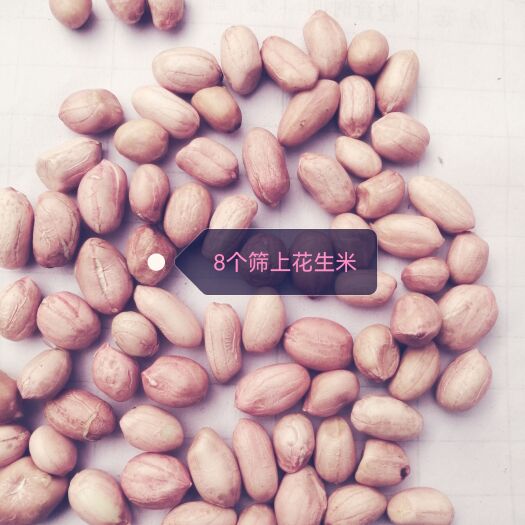 信阳花生米8个筛上