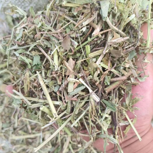 南阳花生秧草料，软包，压块均有现货