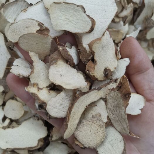 亳州粉萆薢 批发粉萆薢 产地一手货源 充足可供大货批发零售