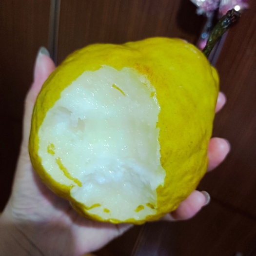 威海本地昆嵛山上吃山泉水长的丑梨，虽然没有美丽的外表，但是甘甜！
