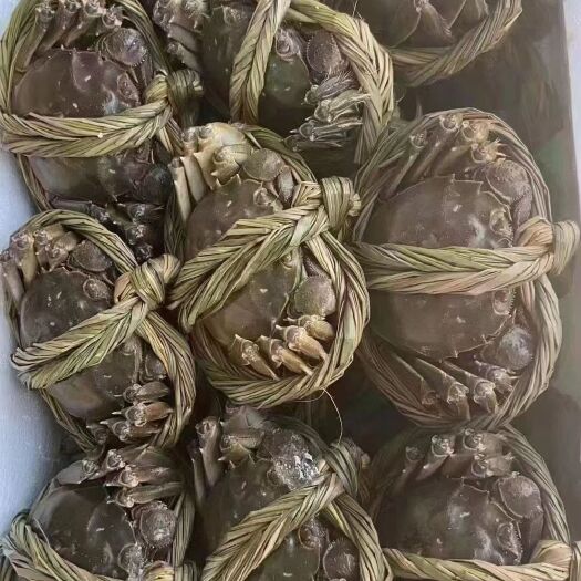 兴化市肉质细嫩，膏似凝脂，味道鲜美