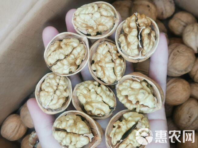 2022新货  185纸皮核桃 皮薄仁饱满 厂家直销  现货