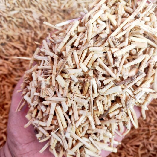 行唐县1公分白茅根大量批发散装统货毛根甜甜根  煲汤原料
