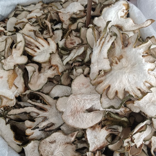 佛手丝别名佛手片佛手果佛手柑五指橘飞穰蜜罗柑五指香
