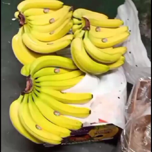 上海菲律宾精品青焦二黄焦大量现货到，口感软糯香甜，保质保量