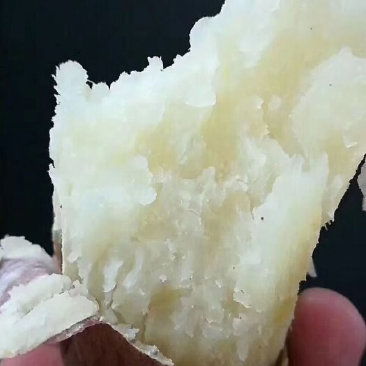 瓦房店市瓦房店精品哈密