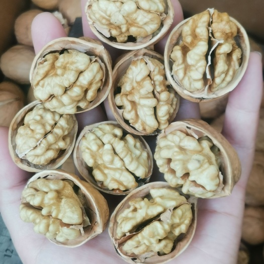 赞皇县2022新货  185纸皮核桃 皮薄仁饱满 厂家直销  现货