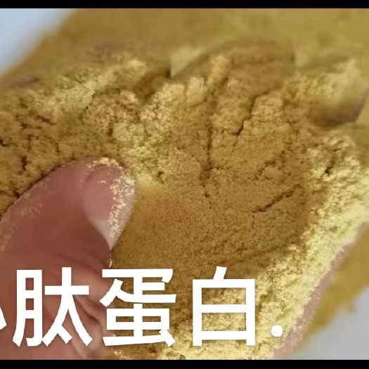 长沙小肽蛋白.蛋白90.指标可定，