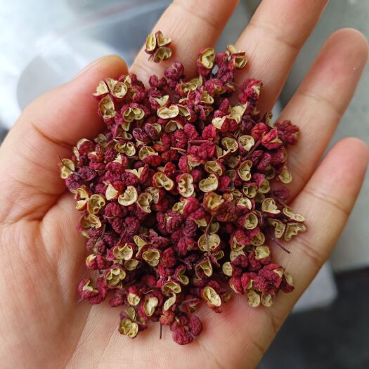 成都红花椒 青花椒大红袍花椒 商超 火锅底料供货
