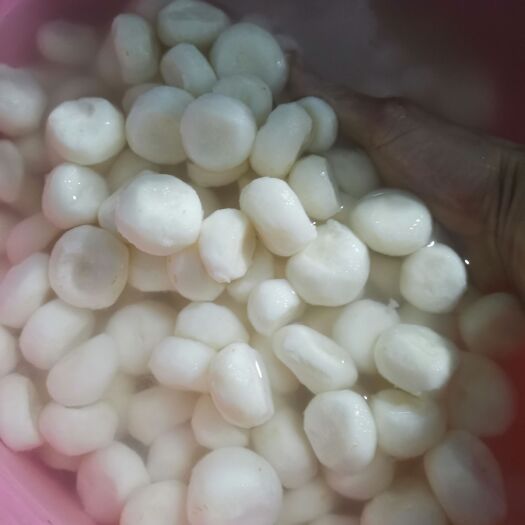 荔浦市荔浦马蹄，新鲜削皮马蹄