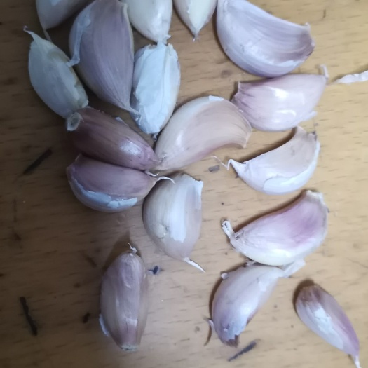 邳州市夹瓣蒜 蒜芯