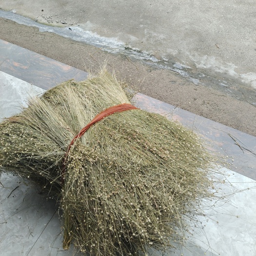 仙居县谷精草