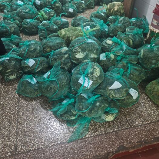 宿迁洪湖大闸蟹产地直发死蟹包赔