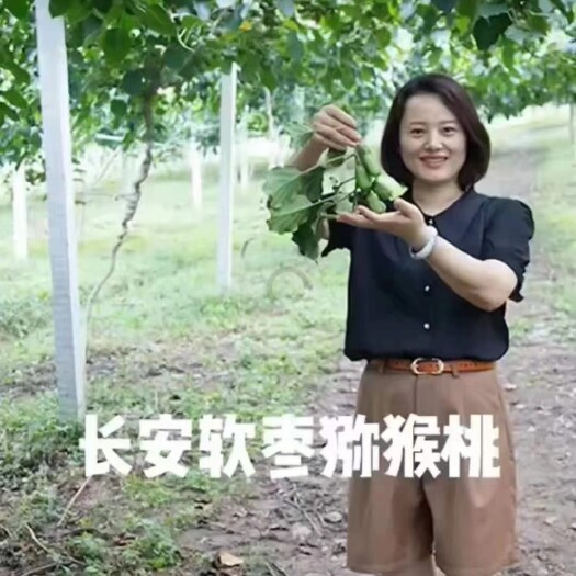 东港市辽宁丹东东港市长安镇小山沟农产品