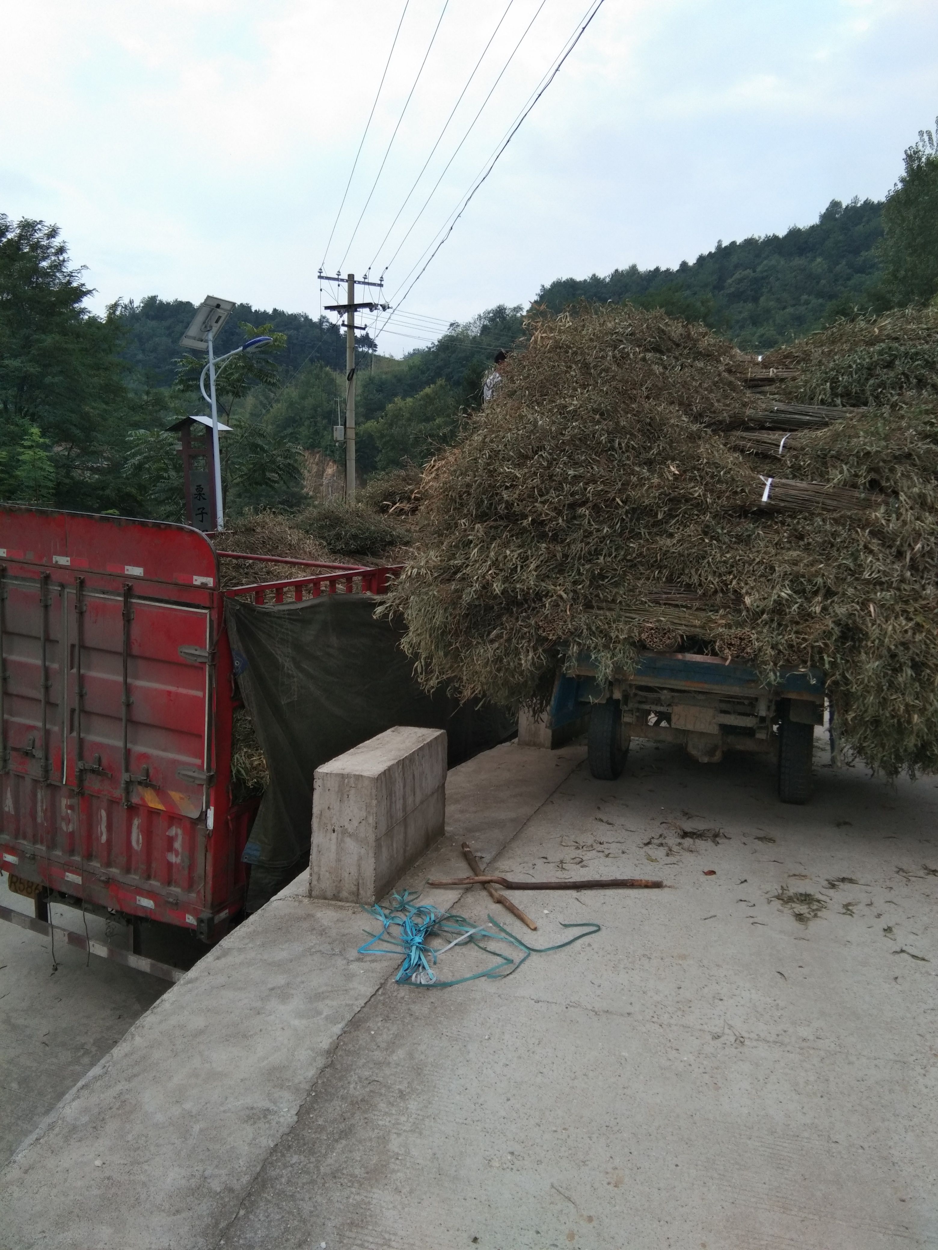 环卫，学校，医院，粮场专用竹扫把
